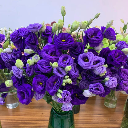 Taggfria Lisianthus-frön (100 st) 💐 Lisianthus-frön