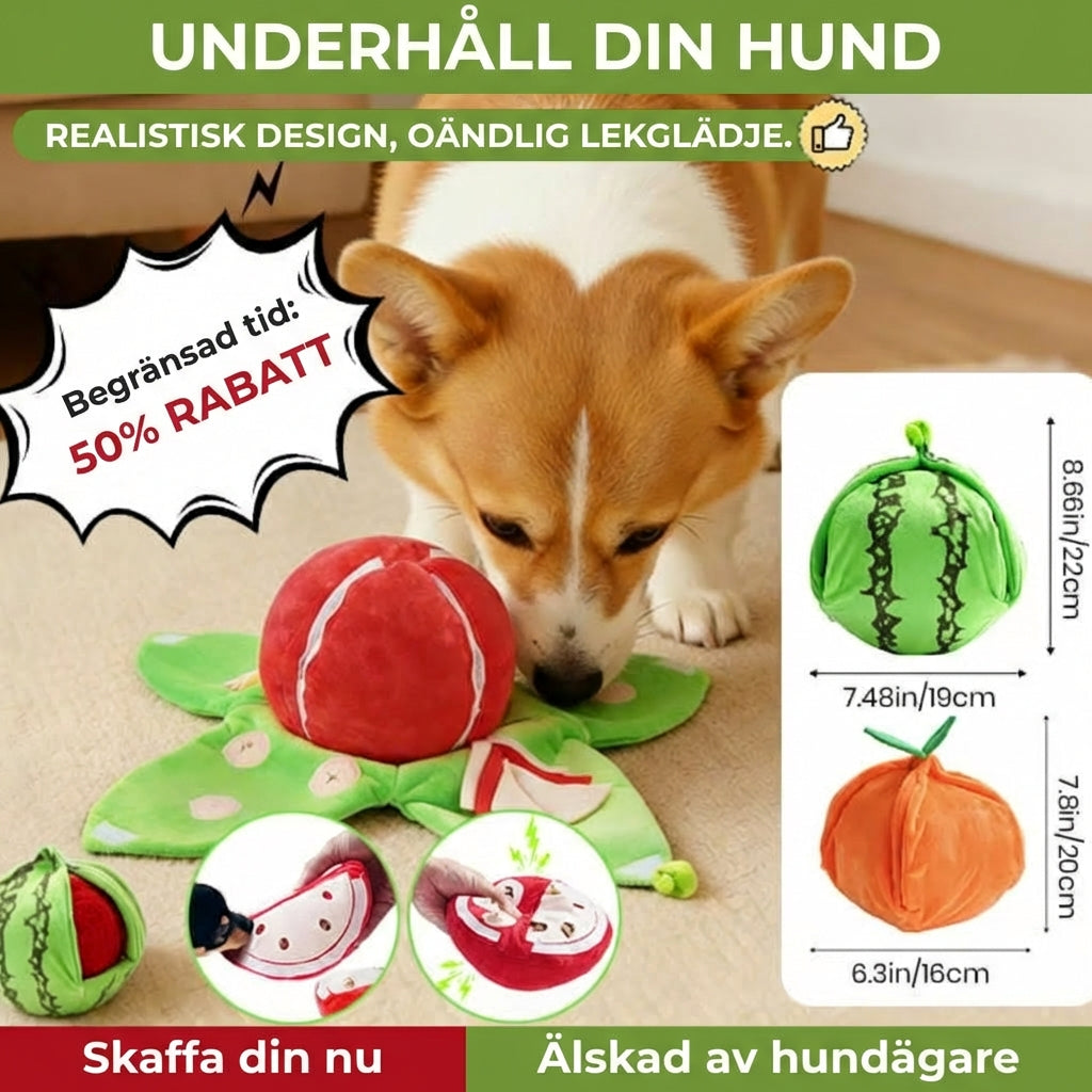 Interaktiv sniff leksak för hund – pedagogisk frukt plysch med dolda fack