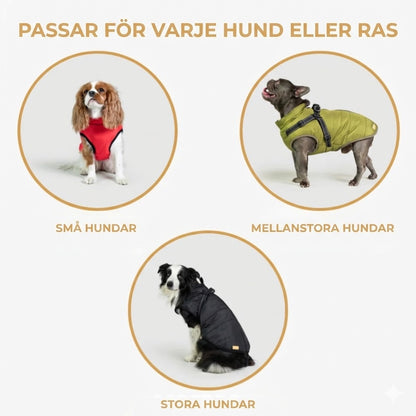 DoggyKings™ hundjacka med integrerad sele – vattentät och varm (3-i-1-design)