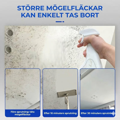 Kraftfull mögelborttagningsspray (omedelbart resultat)