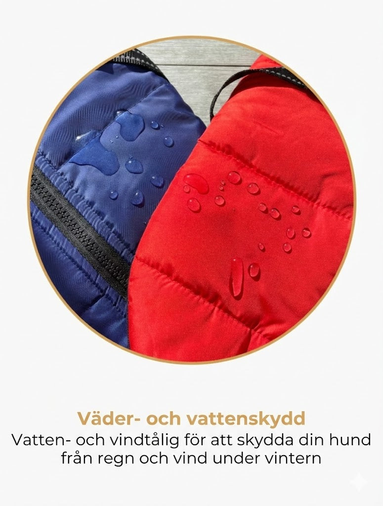 DoggyKings™ hundjacka med integrerad sele – vattentät och varm (3-i-1-design)