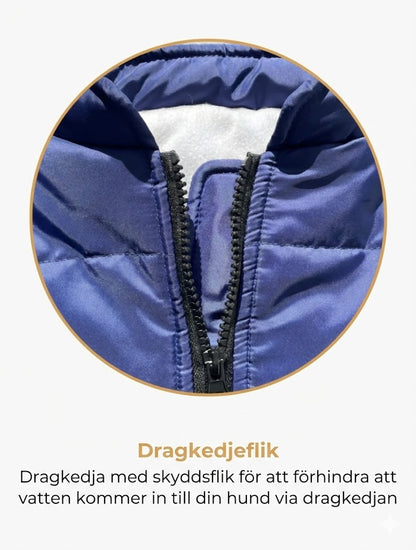 DoggyKings™ hundjacka med integrerad sele – vattentät och varm (3-i-1-design)